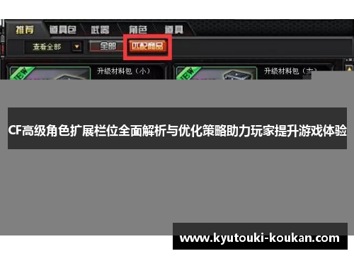CF高级角色扩展栏位全面解析与优化策略助力玩家提升游戏体验